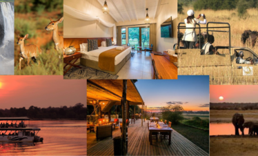 Thunder, Safari & Zimbabwean Wonder – 5 Day Tour