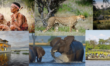 Chobe Wildlife Escape 4 Day Tour